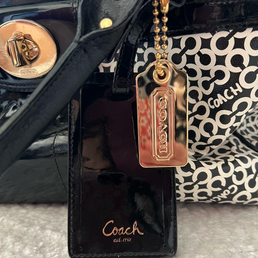 Coach Dog/ Cat Carrier Pet Tote Travel